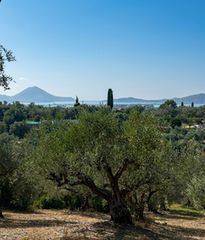 Οικόπεδο 9.356 τ.μ. για πώληση, Μεσσηνία, Νέστορας-thumb-8
