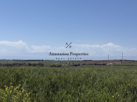 Αγροτεμάχια 4.000 τ.μ. πρός πώληση