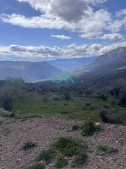 Οικόπεδο 7.082 τ.μ. για πώληση