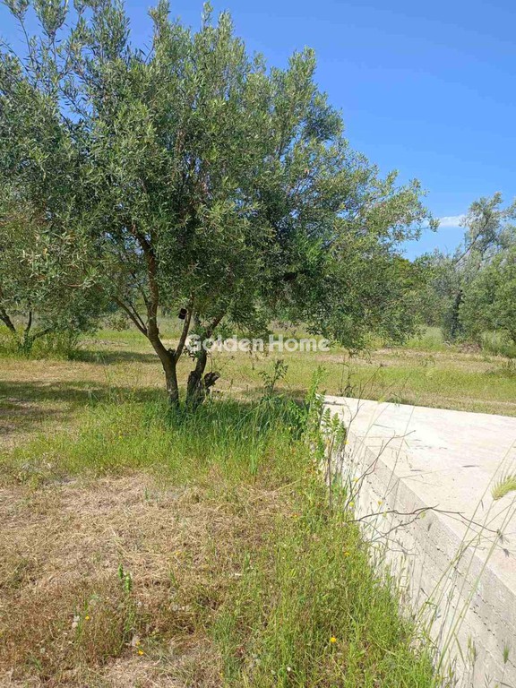 Αγροτεμάχια 2.259 τ.μ. προς πώληση, Καθενοί
