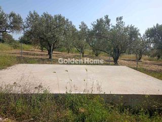 Αγροτεμάχια 2.259 τ.μ. για πώληση, Εύβοια, Δίρφυς-thumb-9