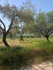 Αγροτεμάχια 2.259 τ.μ. για πώληση, Εύβοια, Δίρφυς-thumb-3