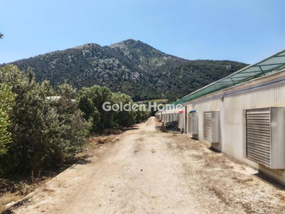 Οικόπεδο 11.500 τ.μ. για πώληση, Αθήνα - Ανατολικά Προάστια, Μαραθώνας