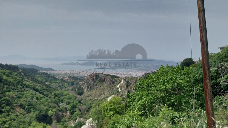 Μονοκατοικία 160 τ.μ. πρός πώληση, Μαγνησία, Μακρινίτσα