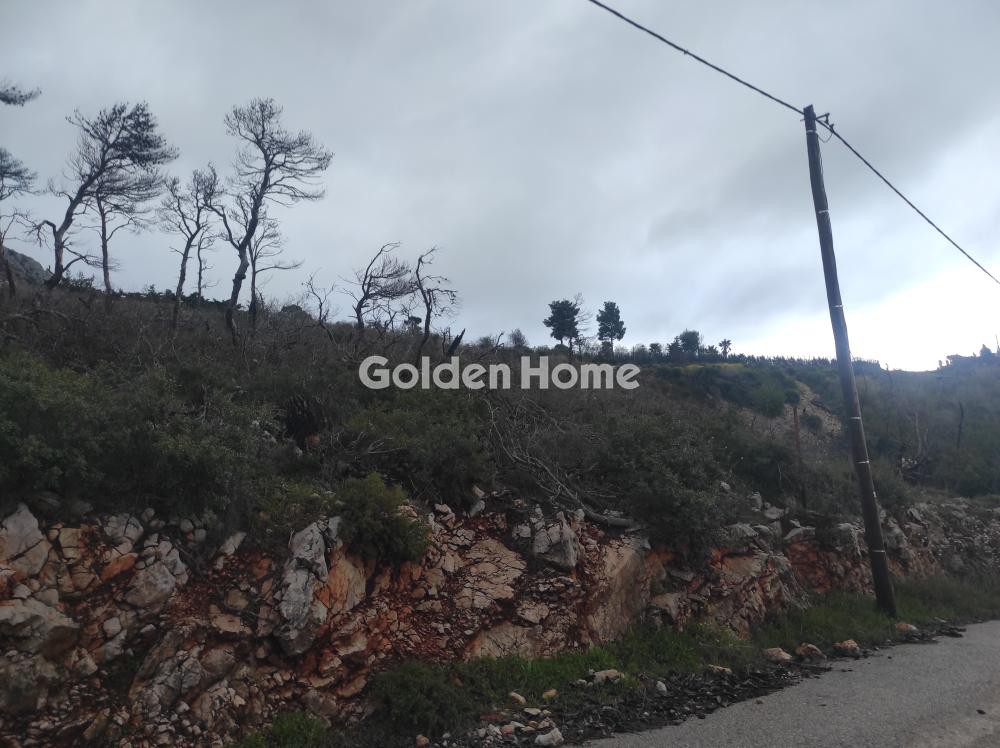 Οικόπεδο 2.190 τ.μ. προς πώληση, Αγία Τριάδα Αφιδνών