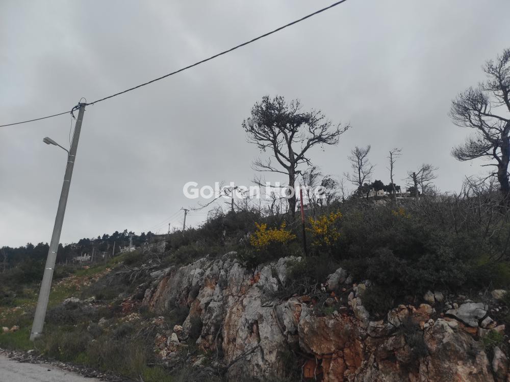 Οικόπεδο 2.190 τ.μ. προς πώληση, Αγία Τριάδα Αφιδνών