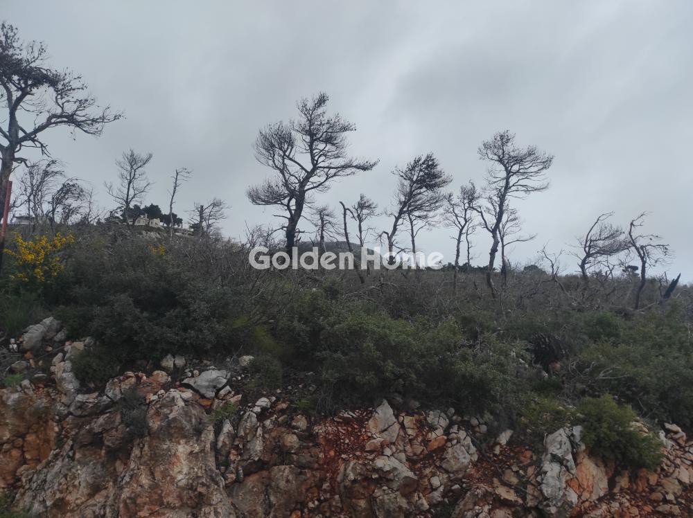Οικόπεδο 2.190 τ.μ. προς πώληση, Αγία Τριάδα Αφιδνών