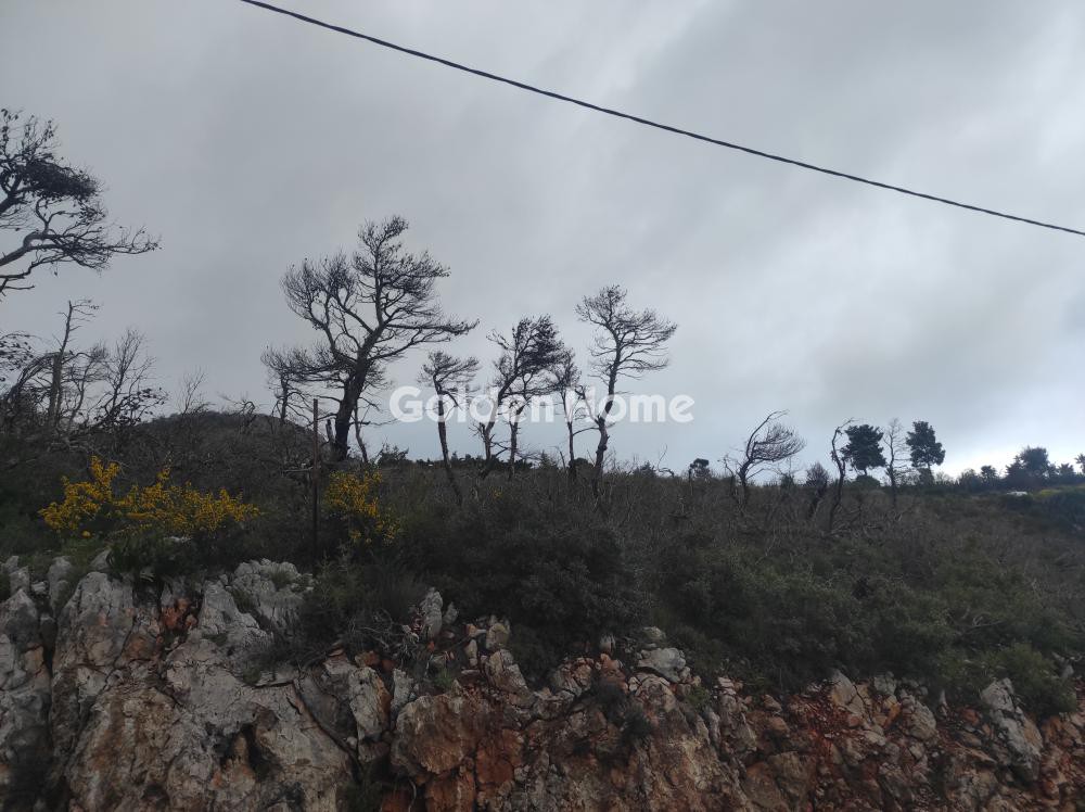 Οικόπεδο 2.190 τ.μ. προς πώληση, Αγία Τριάδα Αφιδνών