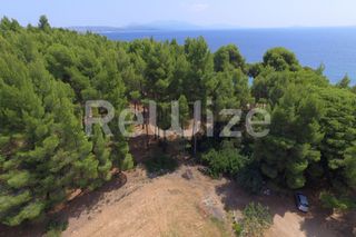 Αγροτεμάχια 1.365 τ.μ. για πώληση