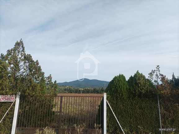 Αγροτεμάχια 4.700 τ.μ. για πώληση, Αθήνα - Κέντρο, Κέντρο