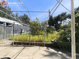 Detached home 42,43 sqm for sale, Samos Prefecture, Samos-thumb-19
