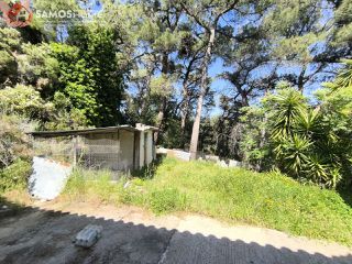 Detached home 42,43 sqm for sale, Samos Prefecture, Samos-thumb-20