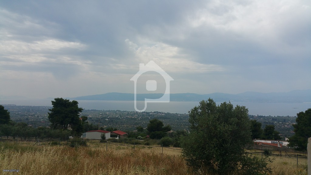 Οικόπεδο 2.000 τ.μ. για ενοικίαση, Εύβοια, Ερέτρια