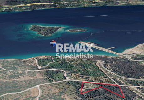 Οικόπεδο 6.434 τ.μ. προς πώληση