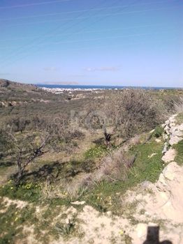 Οικόπεδο 6.728 τ.μ. για πώληση
