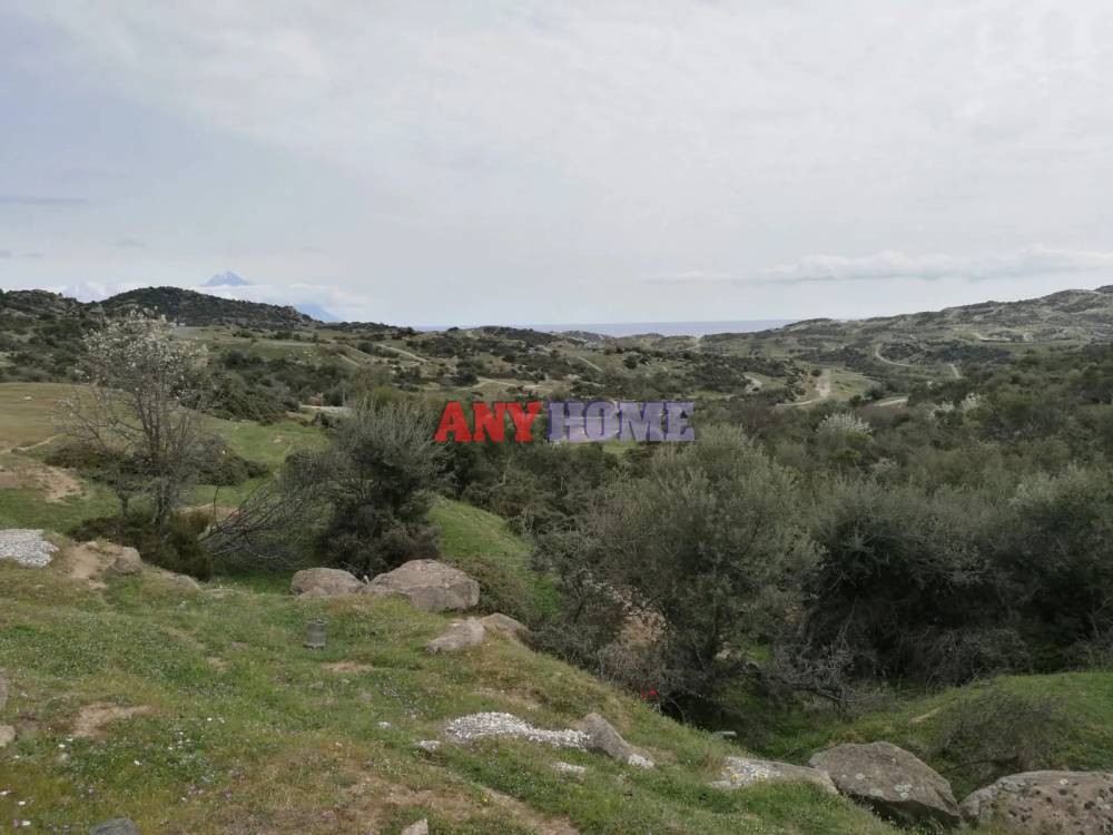 Οικόπεδο 500 τ.μ. προς πώληση, Σκάλα Συκέας