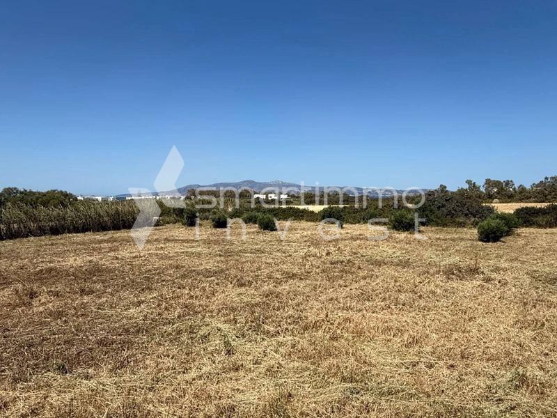 Αγροτεμάχια 3.058 τ.μ. προς πώληση, Κυκλάδες, Νάξος