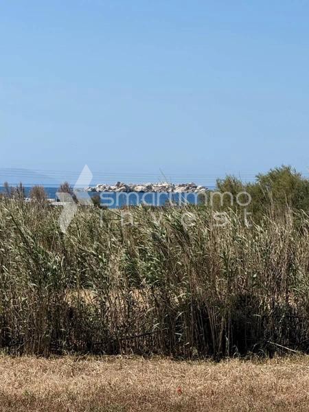 Αγροτεμάχια 3.058 τ.μ. προς πώληση, Κυκλάδες, Νάξος