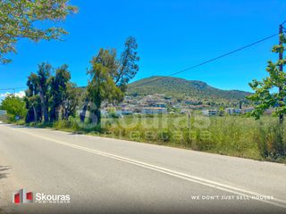 Αγροτεμάχια 18.327,44 τ.μ. για πώληση, Αργολίδα, Ναύπλιο-thumb-12