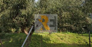 Οικόπεδο 288 τ.μ. για πώληση