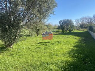 Οικόπεδο 537 τ.μ. για πώληση, Αχαΐα, Ερίνεο-thumb-13