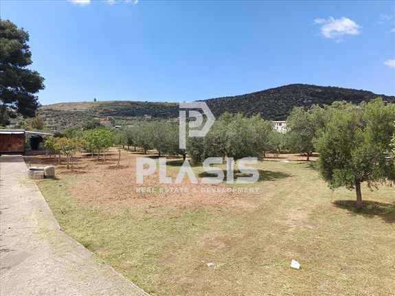 Parcel 3.500 sqm for sale, Athens - East, Koropi