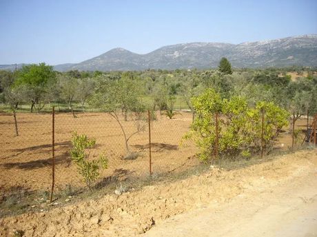 Parcel 1.485 sqm for sale