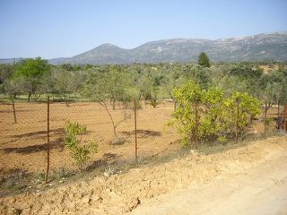 Αγροτεμάχια 1.485 τ.μ. για πώληση