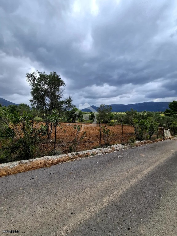 Αγροτεμάχια 1.485 τ.μ. προς πώληση, Καλλιθέα Αμαρύνθου