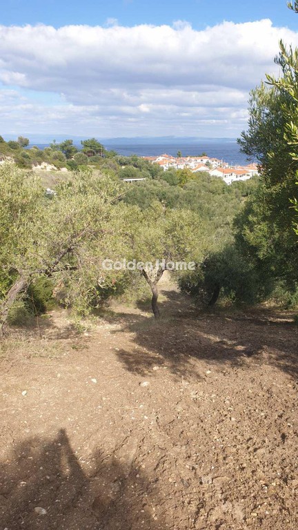 Οικόπεδο 2.200 τ.μ. προς πώληση, Πολύχρονο