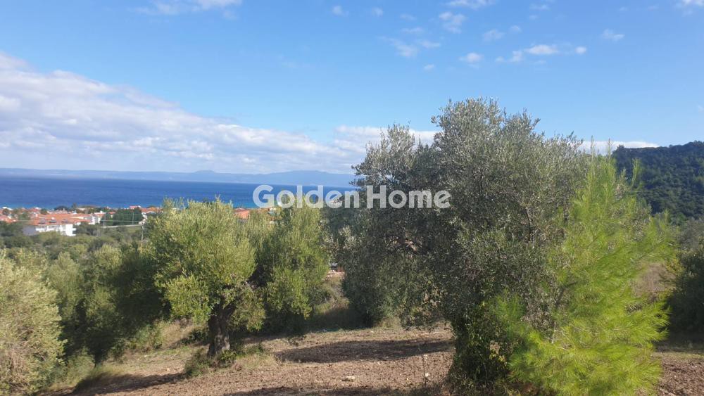 Οικόπεδο 2.200 τ.μ. προς πώληση, Πολύχρονο