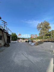 Βιοτεχνικός χώρος 1.200 τ.μ. πρός ενοικίαση, Αχαΐα, Ρίο-thumb-8