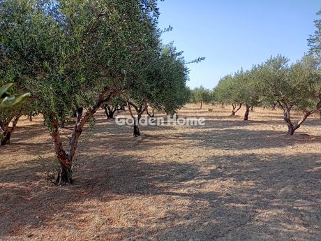 Αγροτεμάχια 2.660 τ.μ. για πώληση