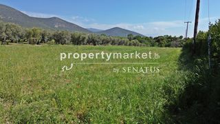 Αγροτεμάχια 3.967 τ.μ. προς πώληση, Ζαρκαδιά-thumb-4