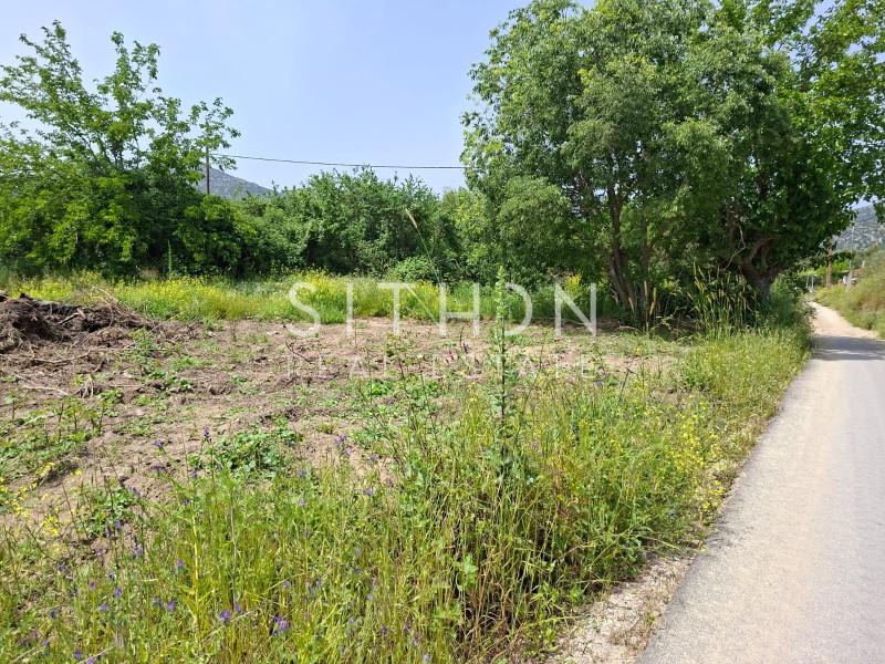 Αγροτεμάχια 275 τ.μ. προς πώληση, Συκιά Τορώνης