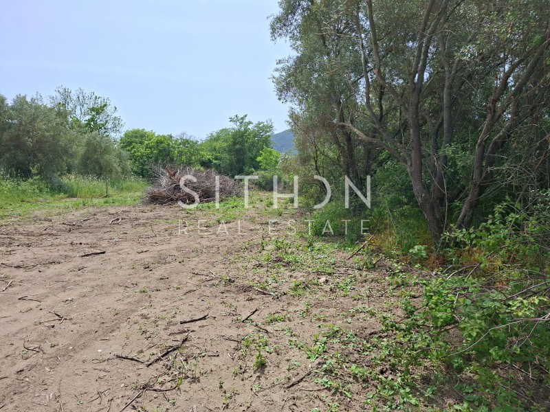 Αγροτεμάχια 495 τ.μ. προς πώληση, Συκιά Τορώνης
