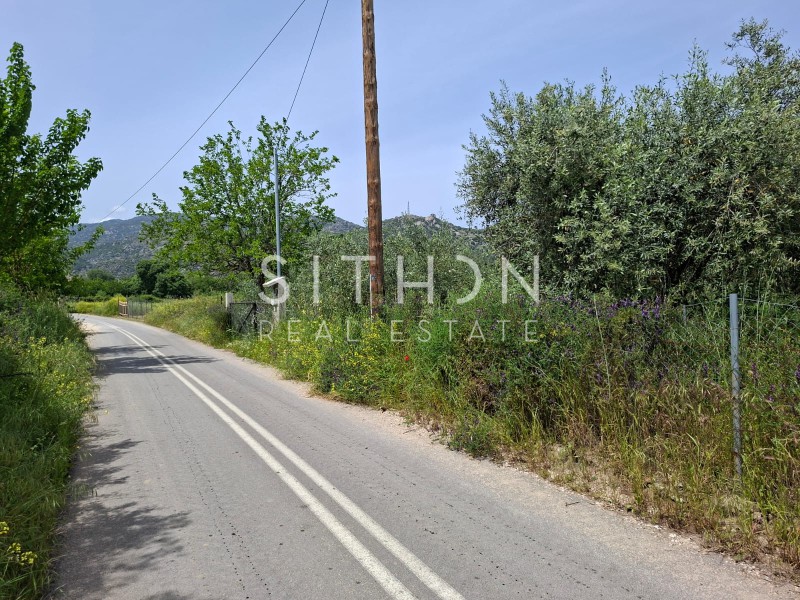 Αγροτεμάχια 495 τ.μ. προς πώληση, Συκιά Τορώνης