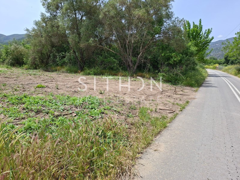 Αγροτεμάχια 495 τ.μ. προς πώληση, Συκιά Τορώνης