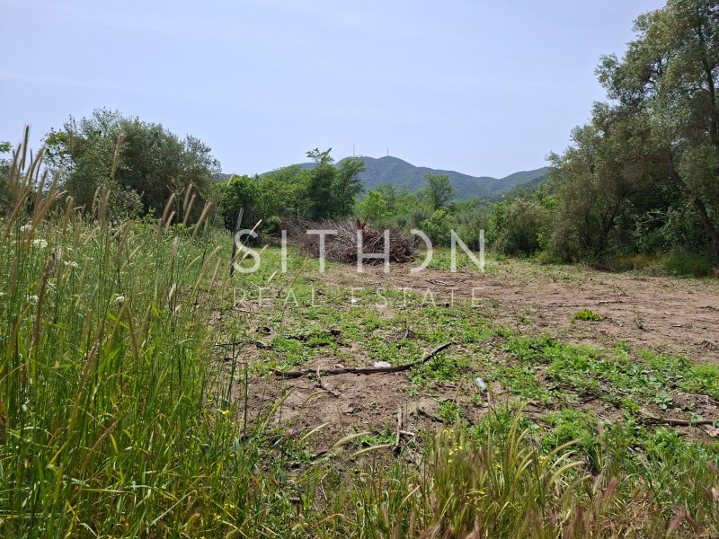 Αγροτεμάχια 495 τ.μ. προς πώληση, Συκιά Τορώνης