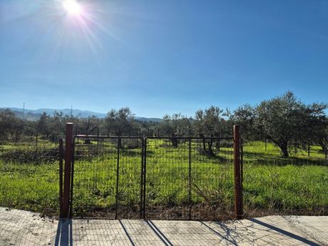 Αγροτεμάχια 1.153 τ.μ. προς πώληση