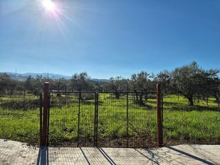 Αγροτεμάχια 1.153 τ.μ. για πώληση