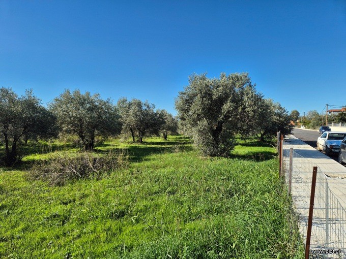 Αγροτεμάχια 1.153 τ.μ. προς πώληση, Άγιος Γεώργιος Ιστιαίας