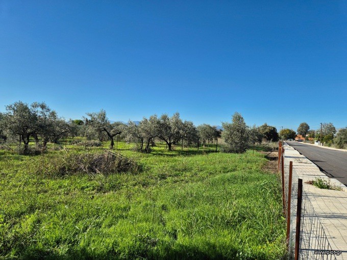 Αγροτεμάχια 1.153 τ.μ. προς πώληση, Άγιος Γεώργιος Ιστιαίας