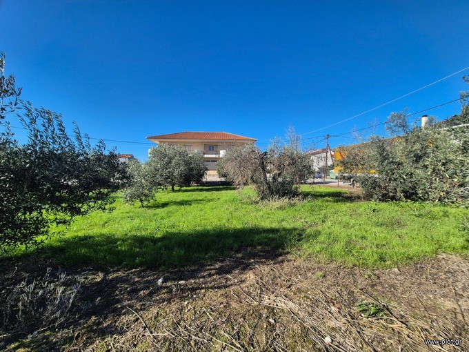 Οικόπεδο 776 τ.μ. προς πώληση, Άγιος Γεώργιος Ιστιαίας