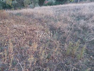 Οικόπεδο 2.100 τ.μ. για πώληση