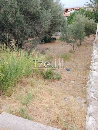 Οικόπεδο 1.000 τ.μ. για πώληση, Αχαΐα, Μεσσατίδα
