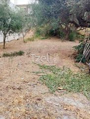 Οικόπεδο 1.000 τ.μ. για πώληση, Αχαΐα, Μεσσατίδα-thumb-3