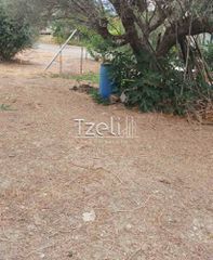 Οικόπεδο 1.000 τ.μ. για πώληση, Αχαΐα, Μεσσατίδα-thumb-1