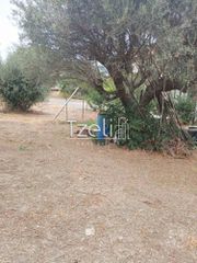 Οικόπεδο 1.000 τ.μ. για πώληση, Αχαΐα, Μεσσατίδα-thumb-7