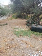 Οικόπεδο 1.000 τ.μ. για πώληση, Αχαΐα, Μεσσατίδα-thumb-4
